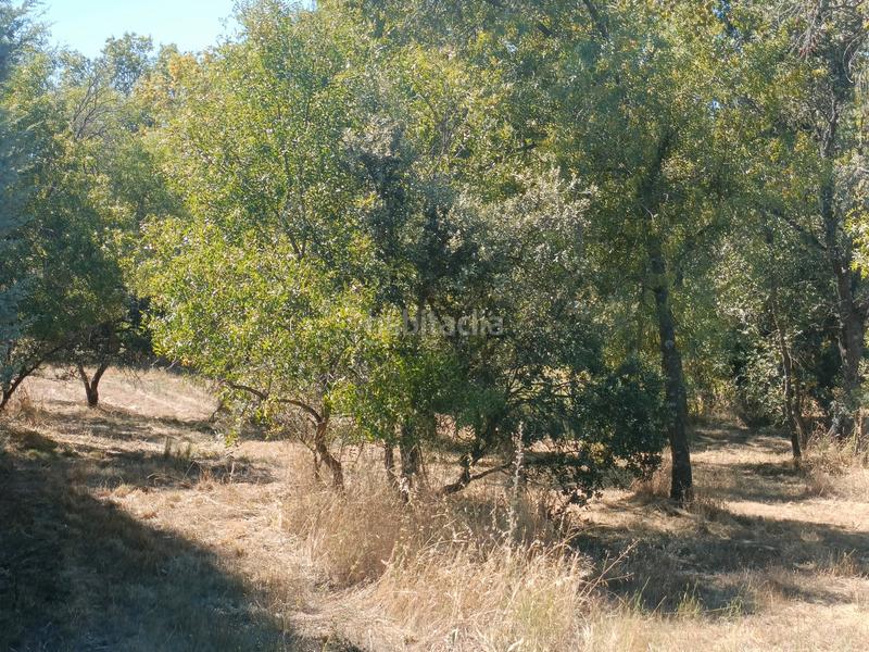 Foto 920162f7-3520-4d11-ae71-55107628d668. Terreny residencial a Mojadillas-Parque de las Infantas-El Paraiso Valdemorillo