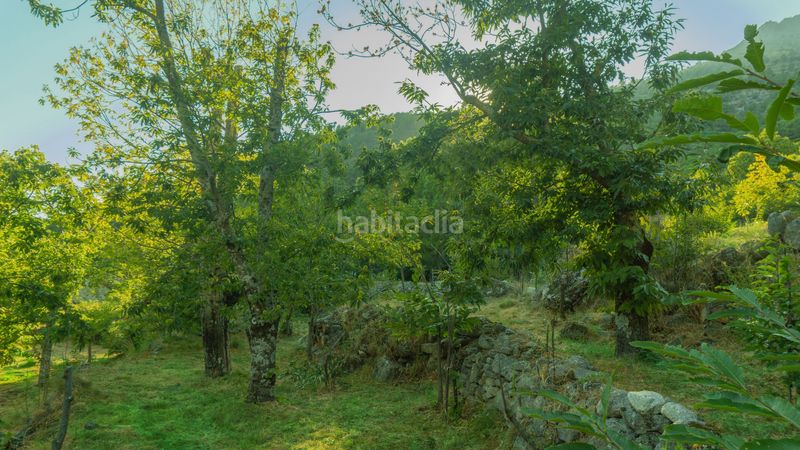 Foto 8016e351-5c4a-45f8-a069-d1e3654828fc. Haus in Hornillo (El)