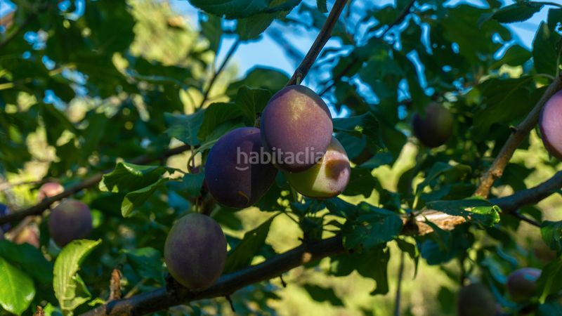 Foto aaf3d3d4-bdbd-40ec-8645-abab069ad7e9. Haus in Hornillo (El)