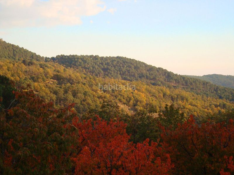 Foto fffc58a1-f9d7-459e-8be3-c0d8f50770a1. Haus in Hornillo (El)