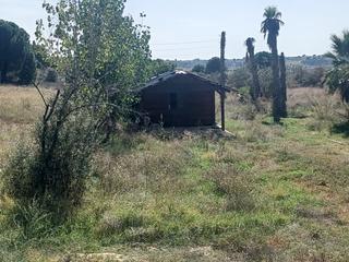 Finca rústica a Arroyo chico 2a. Venta de finca en mentrida 50000m precio 240000€ nave de hormigó