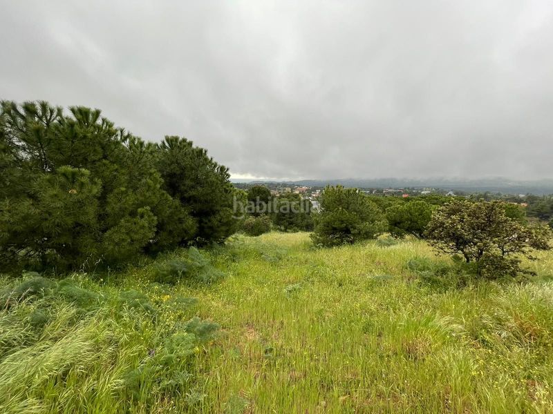 Foto 0c4ed5f8-cefd-4258-9da4-ca834c176ac8. Terreny residencial a avenida de cirilo tornos 22 a Torrelodones
