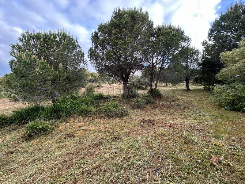 Foto 11a0bf44-ec5a-494b-b708-07edfe777205. Terreny residencial a avenida de cirilo tornos 22 a Torrelodones