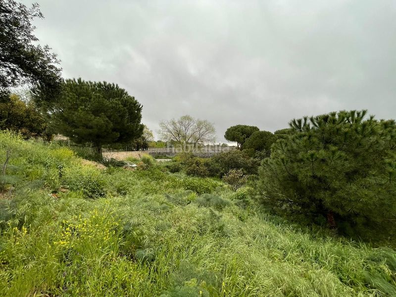Foto a44dbaab-846a-4666-9022-9714c1f3abcf. Terreny residencial a avenida de cirilo tornos 22 a Torrelodones