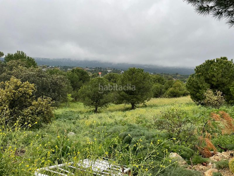 Foto d4d45cc4-1de0-4a53-81b8-12ab92a5a70a. Terreny residencial a avenida de cirilo tornos 22 a Torrelodones