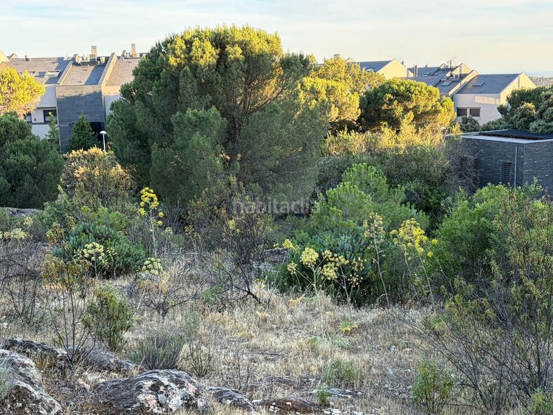 Foto 28b64fd5-2f2f-4b73-bb36-e59027f9cb09. Terreny residencial a Los Robles Torrelodones