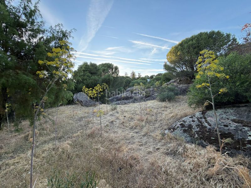 Foto 8aa03aff-34ba-4830-ba78-bb4f4357dfb1. Terreny residencial a Los Robles Torrelodones
