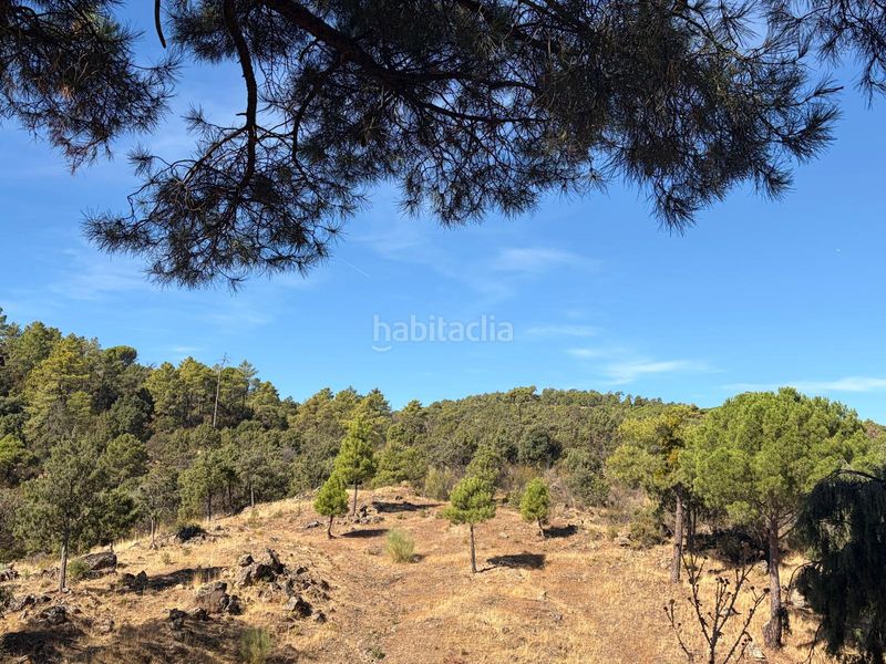 Foto afee944f-c99a-41b8-a618-b0c46fc3b310. Chalet mit kamin heizung parking pool in Valdemaqueda