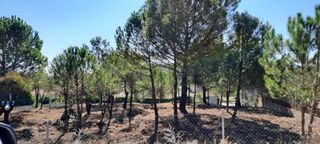 Terreny residencial a Torre de Claramunt (La). Solar en venta en la torre de claramunt: font del camer�: