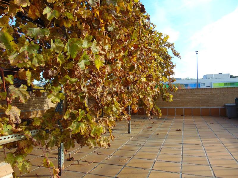 Foto 0e86c029-7ac4-42d3-9da3-64e63c5ad1f7. Maison jumelée avec chauffage piscine dans Las Castañeras - Bulevar Arroyomolinos