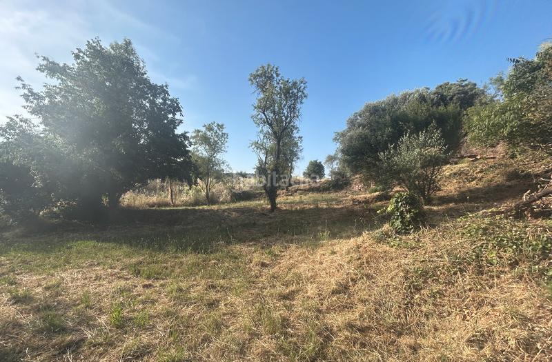 Foto 9914c5e9-c3e5-41ef-b124-d2b709296e3a. Terreno residencial  en Artés