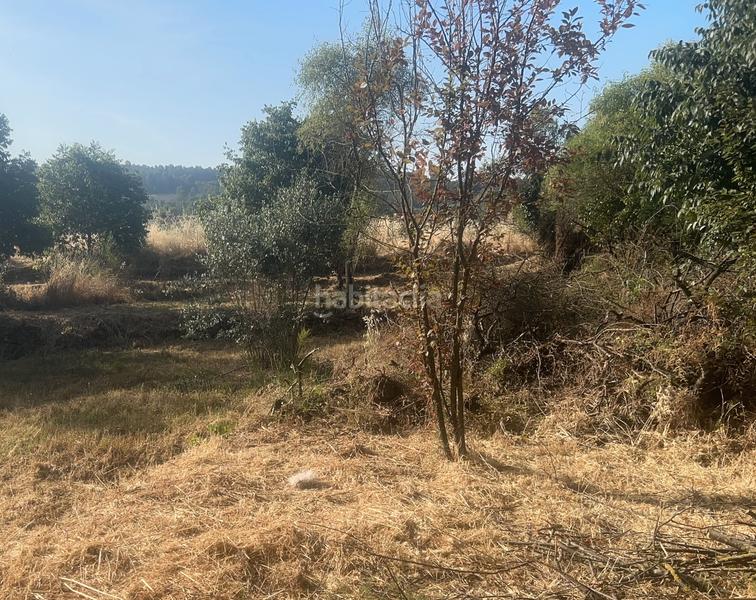 Foto de96088b-9e7d-4632-a286-9d7e0b9387c6. Terreno residencial  en Artés
