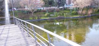 Autoparkplatz in Valleaguado-La Cañada