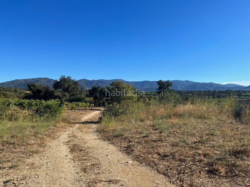 Foto d5bbb8da-cb76-44cc-b61b-e244d68b49ef. Masía  catalana restaurada en venta con 100 hectáreas de terreno cerca de la jonquera en Vajol (La)
