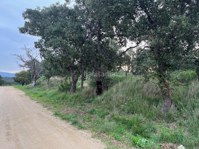 Foto 4652bebf-8dcf-4eee-8f24-d9fb6151bc1a. Wohngrundstück in Capmany