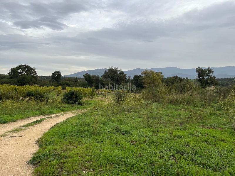 Foto 5c9cdc42-3e4d-46ac-a5d4-9ee1efc0c105. Wohngrundstück in Capmany