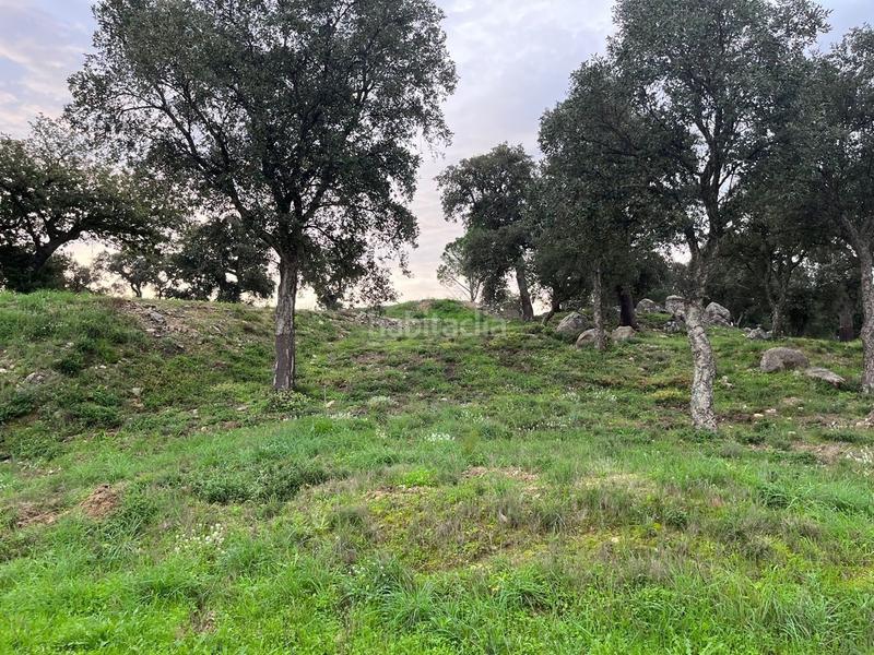 Foto f20d0c89-f3b7-40f3-bba7-9140bb43012b. Wohngrundstück in Capmany