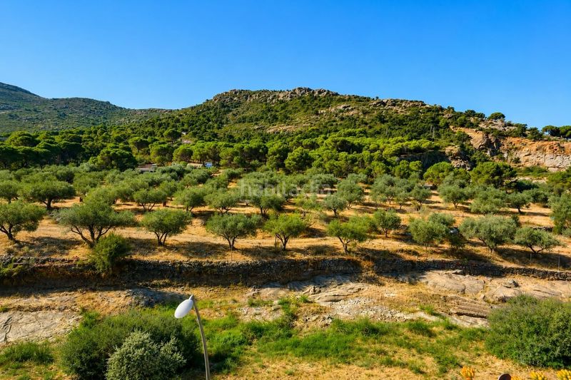 Foto add06da9-9ff7-4d91-8988-114982196344. Apartament amb calefacció a Els Grecs-Mas Oliva Roses