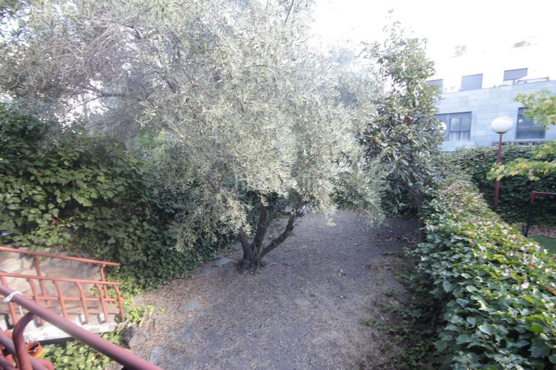 Foto fb7e4260-ce98-4049-9b9e-ed932c0795f7. Casa amb calefacció aparcament a Estación Rozas de Madrid (Las)