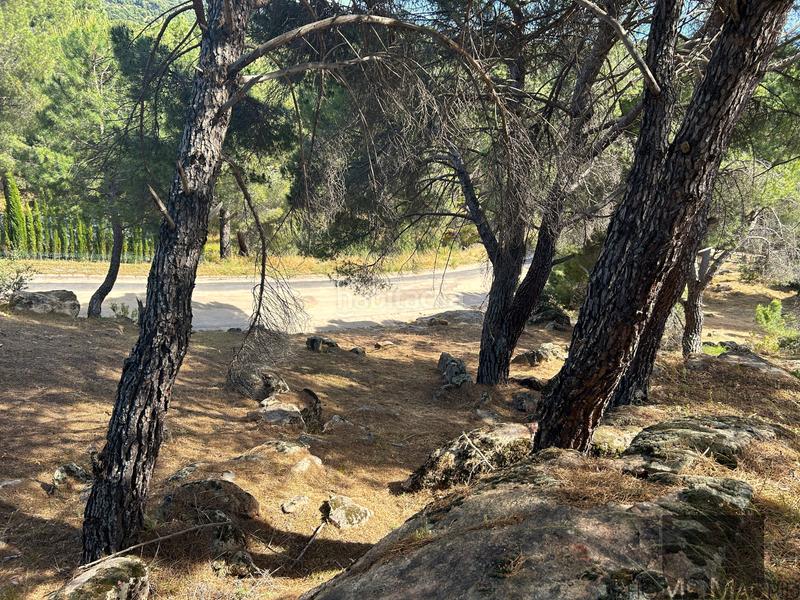 Foto 255568bb-f22c-4f19-917a-caabec0e5456. Terreny residencial a San Martín de Valdeiglesias