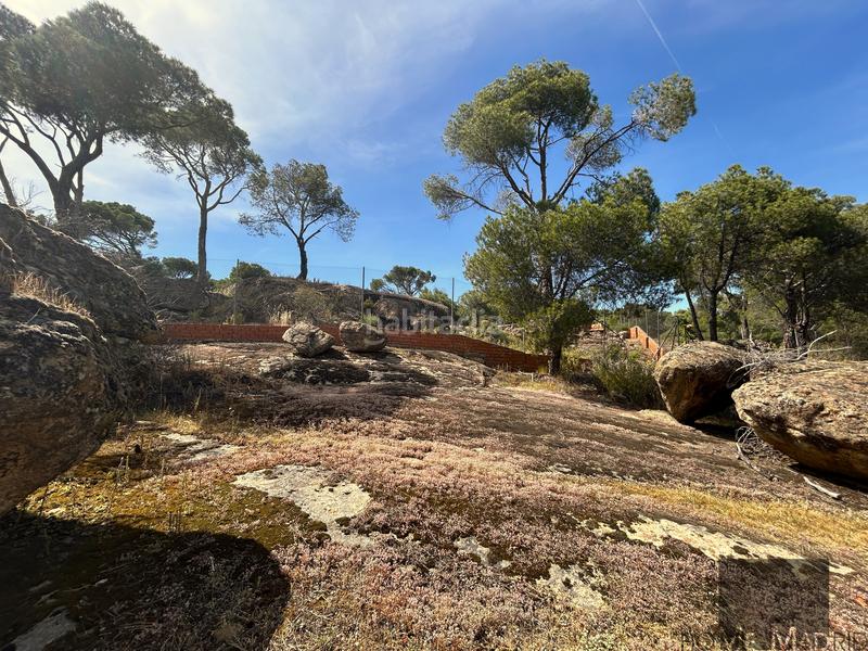 Foto 29c05e70-553d-43c2-af62-c1b8be583421. Terreny residencial a San Martín de Valdeiglesias