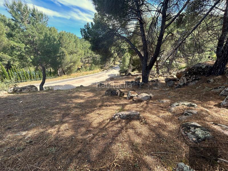 Foto aea017e0-88bf-4778-903a-76d02b39683a. Terreny residencial a San Martín de Valdeiglesias