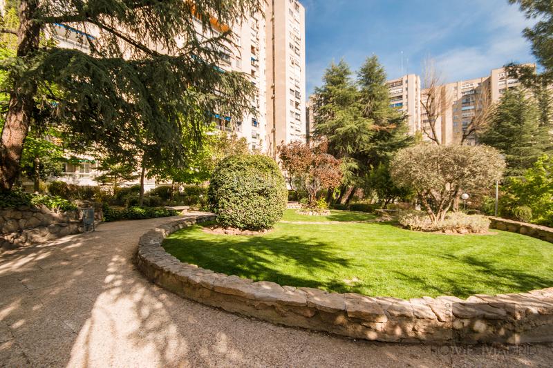 Foto e500174d-dd65-4d31-ad9a-b12d5b982dae. Pis amb calefacció aparcament piscina a Pilar Madrid