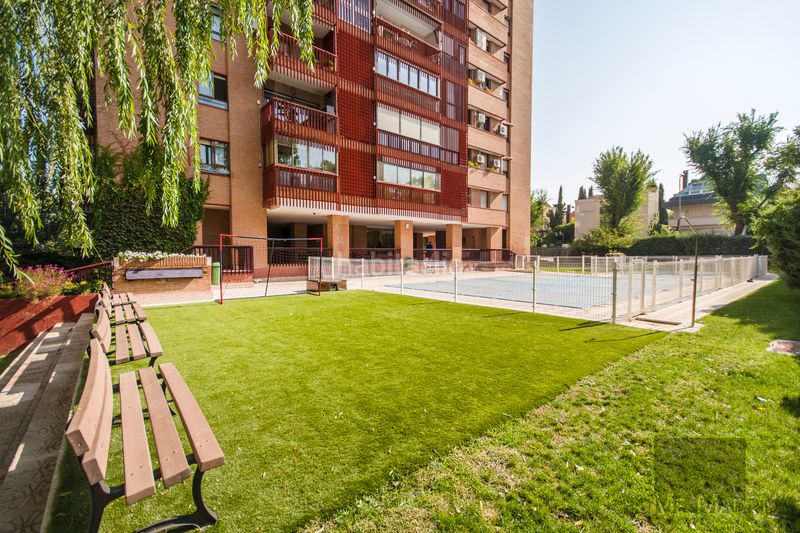 Foto b791170a-5976-461f-a040-5e471374cb78. Estudi amb calefacció piscina a Peñagrande Madrid