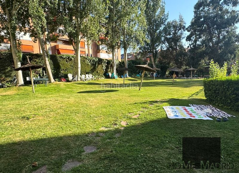 Foto fd25e7e3-ee61-46a0-b97b-6284951ba8db. Pis amb piscina a Peñagrande Madrid