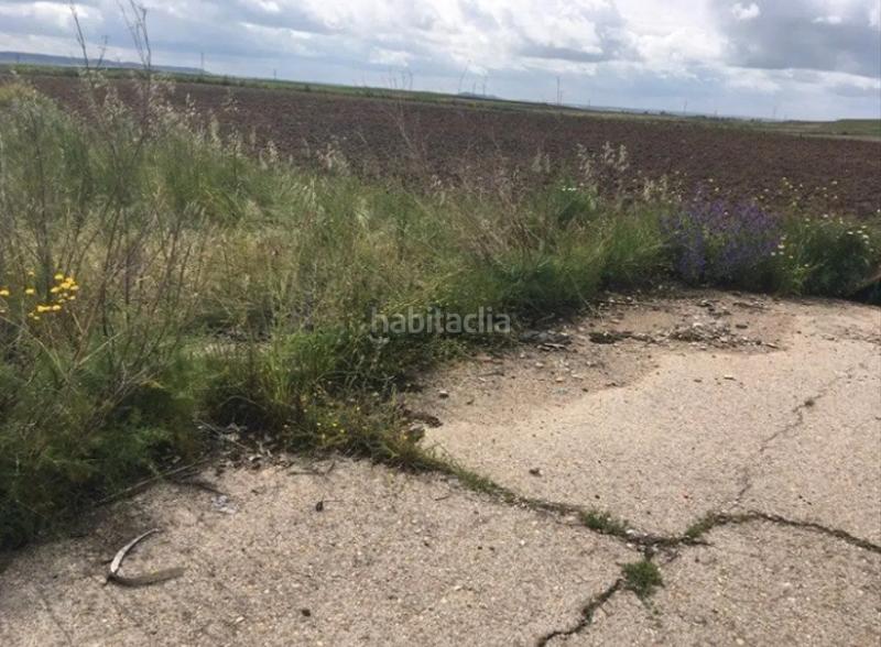 Foto 843cbfda-d4fe-4063-9501-f500564b53ff. Fondo rustico in Torrejón de la Calzada