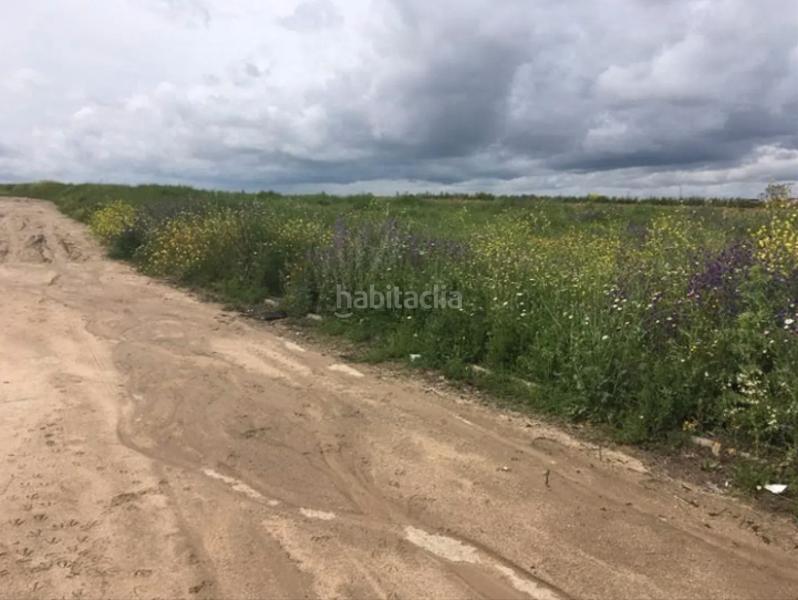Foto e52c745b-fff3-41a9-b6b6-a2c04f892de8. Fondo rustico in Torrejón de la Calzada