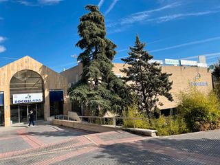 Local Comercial  Avenida de espaa