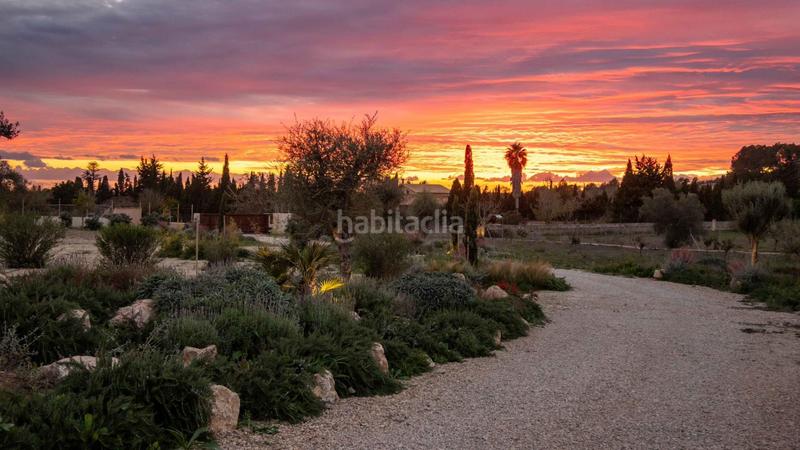 Foto 0422855e-2214-4dd0-9c4f-2f20e3d400cd. Casale con parcheggio in Llucmajor interior Llucmajor