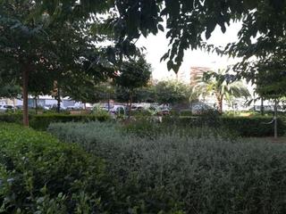 Local Comercial en L´Hort de Senabre