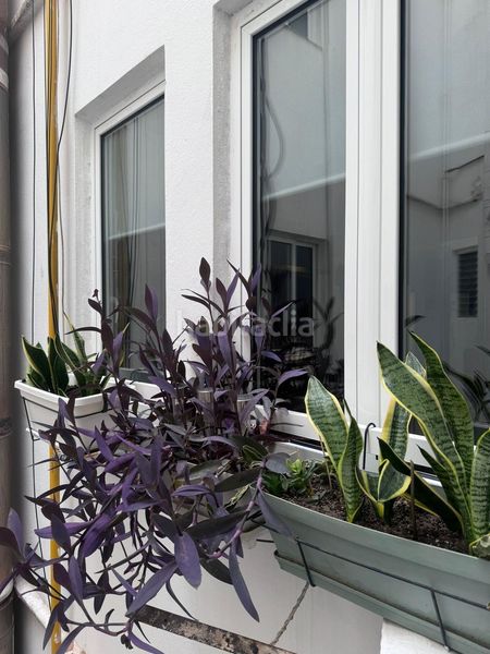 Foto 3cfa1f84-f3a6-4d16-8e9d-d00d231d2f7d. Pis a Barrio de Patraix Valencia