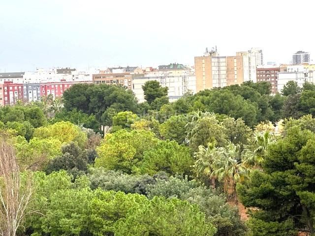 Foto 035cebdf-efca-4cf0-a8ee-f3fd2be07153. Pis a Nou Moles Valencia