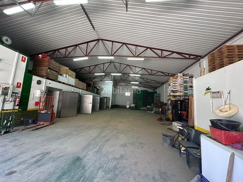 Foto 29c5cf46-57ef-46c5-b6fd-bb68c9fc93b8. Nau industrial a Beniparrell