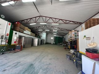 Nave industrial en Beniparrell. Nave en venta para entrar...poligono industrial beniparrell