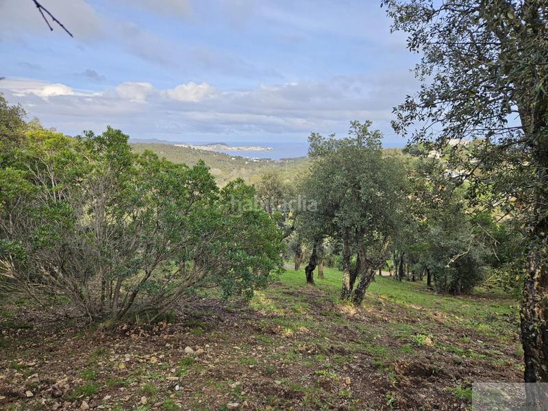 Foto 33c6e372-b9d9-4dd4-a336-f2c1728df8ed. Terreno residencial platja daroterreno en Urbanitzacions Platja d´Aro