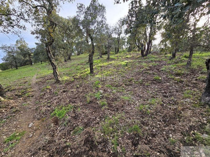 Foto 8da15caa-b44a-413d-99c7-b36353c83fd6. Terreno residencial platja daroterreno en Urbanitzacions Platja d´Aro