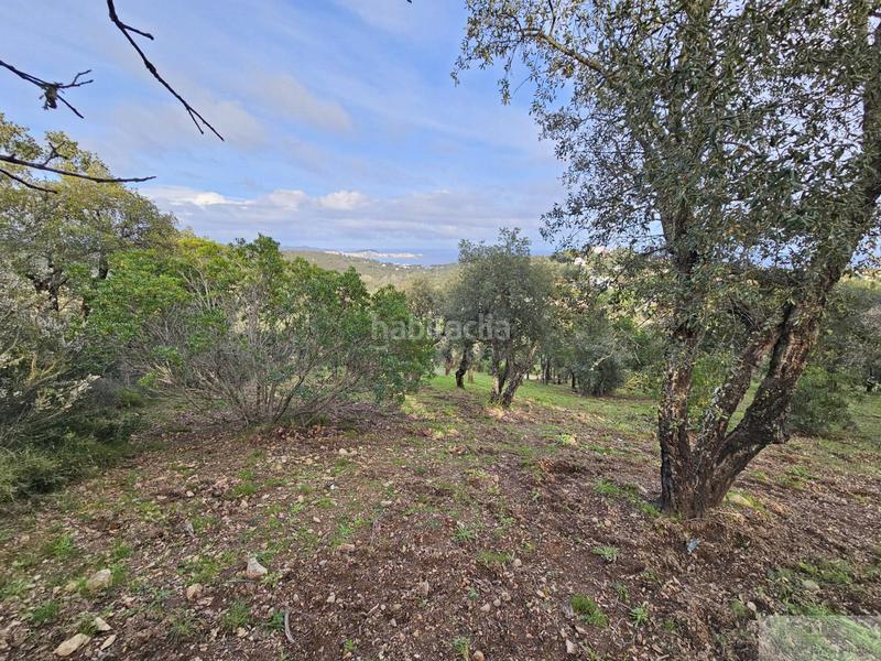 Foto a181b3ea-7df8-430f-9475-f8ae19515935. Terreno residencial platja daroterreno en Urbanitzacions Platja d´Aro