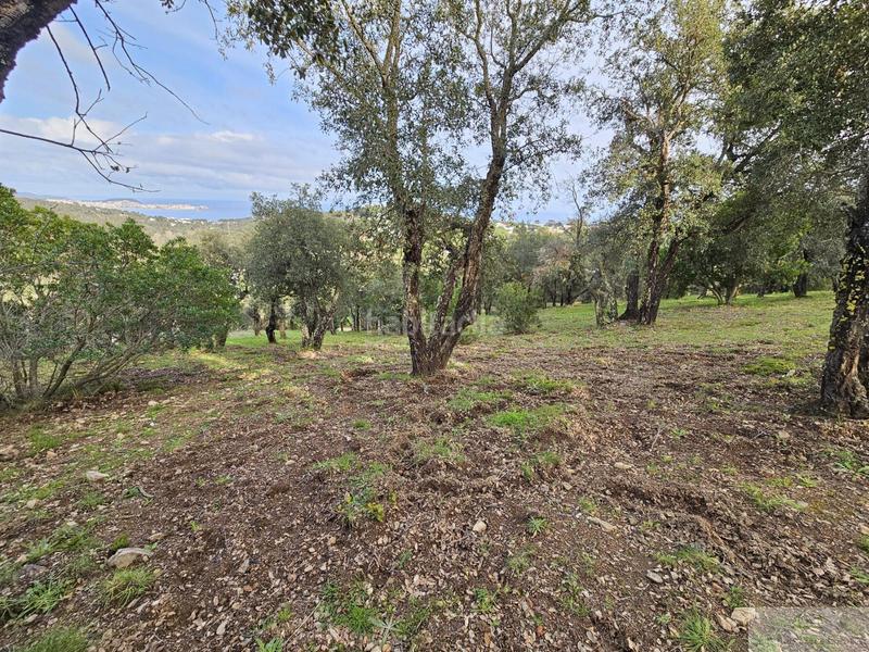 Foto a6f26879-fa0a-42b8-af31-281c8c1dc0a8. Terreno residencial platja daroterreno en Urbanitzacions Platja d´Aro