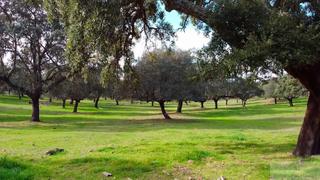 Terreny residencial a Moraleja. Moralejaterreno