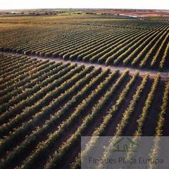 Terreny residencial a Montejícar. Montejícarterreno