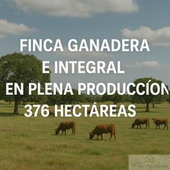 Terreny residencial a Caceres. Cáceresterreno