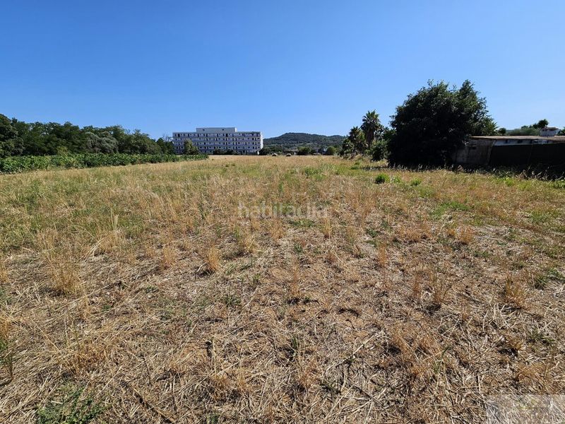 Foto 73ed39d5-d9e0-4427-9a3c-665c7d1b0fd7. Terreny residencial a Poble Calonge