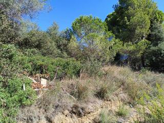 Terreno residencial en Los Pinos-Politur. Platja daroterreno