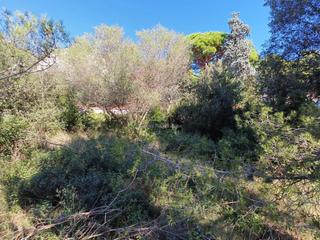 Terreno residencial en Los Pinos-Politur. Platja daroterreno