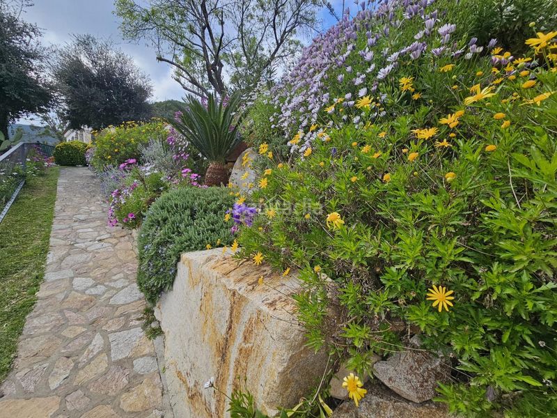 Foto 55ef53d5-d2d6-4b5d-b20d-97f38050b70c. Apartament amb calefacció a Cabanyes-Mas Ambrós-Mas Pallí Calonge