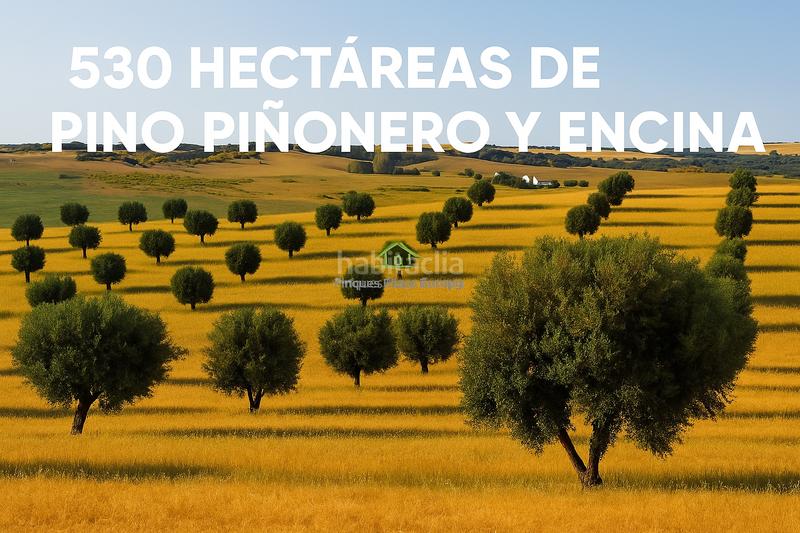 Foto 4e8813d7-230a-4469-9378-3f04c5ad3adb. Terreno residencial castro marimterreno en Costa Esuri Ayamonte